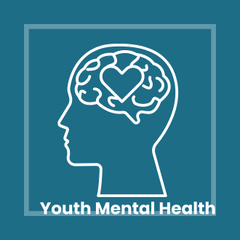 Youth Mental Health Case Discussion